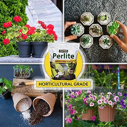 Harris Premium Horticultural Perlite for Plants and Gardening, 8qt to Promote Root Growth and Soil Health White