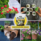 Harris Premium Horticultural Perlite for Plants and Gardening, 8qt to Promote Root Growth and Soil Health White