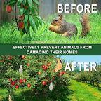 DALIYREPAL Squirrel Repellent Outdoor, Keep Squirrel Away Chipmunk Repellent Outdoor,Squirrels Repellent for Garden, Outdoor Squirrels Repellent for Attic, Squirrel Deterrent Mint -12 Packs