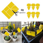 Kensizer 50-Pack Fruit Fly Trap, Yellow Sticky Gnat Traps Killer for Indoor/Outdoor Flying Plant Insect Like Fungus Gnats, Whiteflies, Aphids, Leaf Miners - 6x8 in, Twist Ties Included