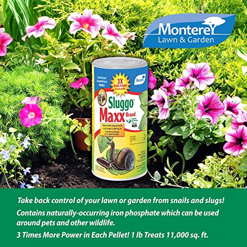 Monterey - Sluggo Maxx - Organic Gardening Slug and Snail Killer for Garden - Pet and Wildlife Friendly Iron Phosphate - 1 Pound