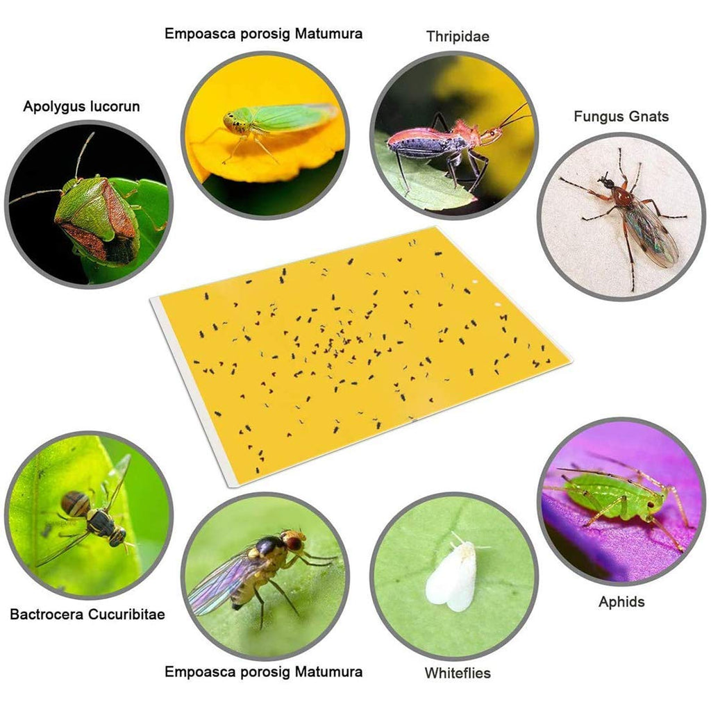 Gideal 30-Pack Dual-Sided Yellow Sticky Traps for Flying Plant Insect Such as Fungus Gnats, Whiteflies, Aphids, Leafminers,Thrips - (6x8 Inches, Included 30pcs Twist Ties)
