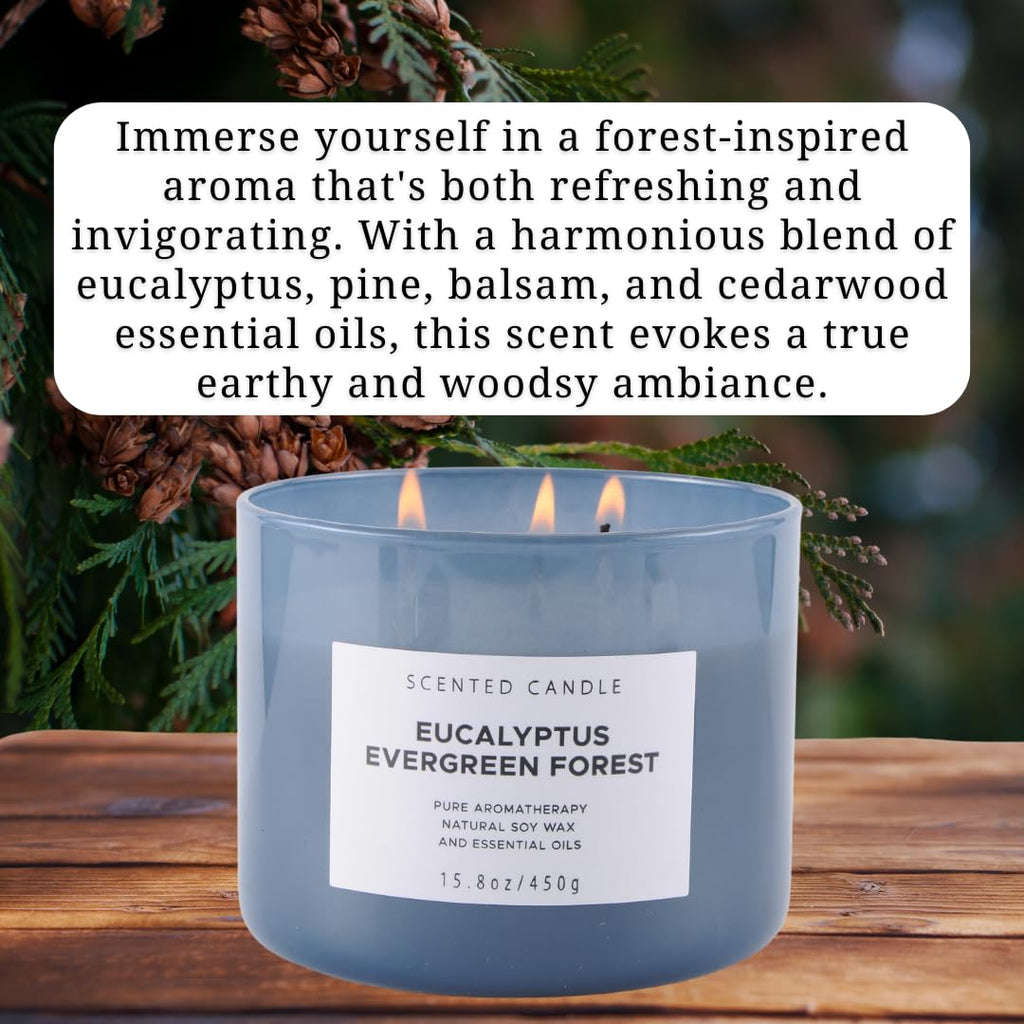 Eucalyptus Evergreen Forest Luxury 3 Wick Winter Pine Candle | Mens Candles, Scented Candles for Home | Aromatherapy Stress Relief Soy Candles 15.8 oz | Balsam Fir Woods Candles for Men & Women