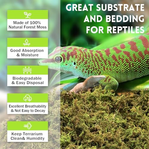 Riare 1.3LB Premium Sphagnum Moss for Reptiles- 50QT Natural Live Moss Reptile Moss Bedding for Terrarium, Hatching, Forest Sphagnum Moss Reptile Substrate for Snakes, Gecko, Turtles, Frogs, Leopard