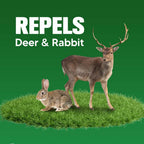 PRBSOQ Deer Repellent for Plants, Rabbit Repellent Outdoor, Deer Away Repellent for Garden, Trees and Lawn, Rabbit Repellent for Plants, Safe for People, Pets and Plants, Lasts Up to 60 Days, 8 Packs