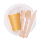 Spa Stix 6" Disposable Paper Plate - Pack of 500ct (Model: SS-Paper Plate 6-500)