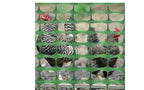 BOEN 4' x 100' Green Temporary Fencing, Mesh Snow Fence, Plastic, Safety Garden Netting, above Ground Barrier, for Deer, Kids, Swimming Pool, Silt, Lawn, Rabbits, Poultry, Dogs