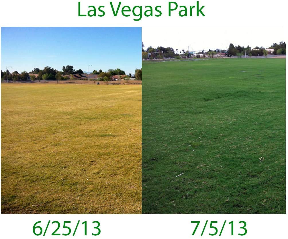 Premium Nutrient Rich Lawn Top Dressing Turf Expanding Coco Coir Mix – 10 LB Covers up to 400 sq. ft. – Grow Thicker Greener Grass in Drought Heat Conditions – Save Water, Seed, & Fertilizer