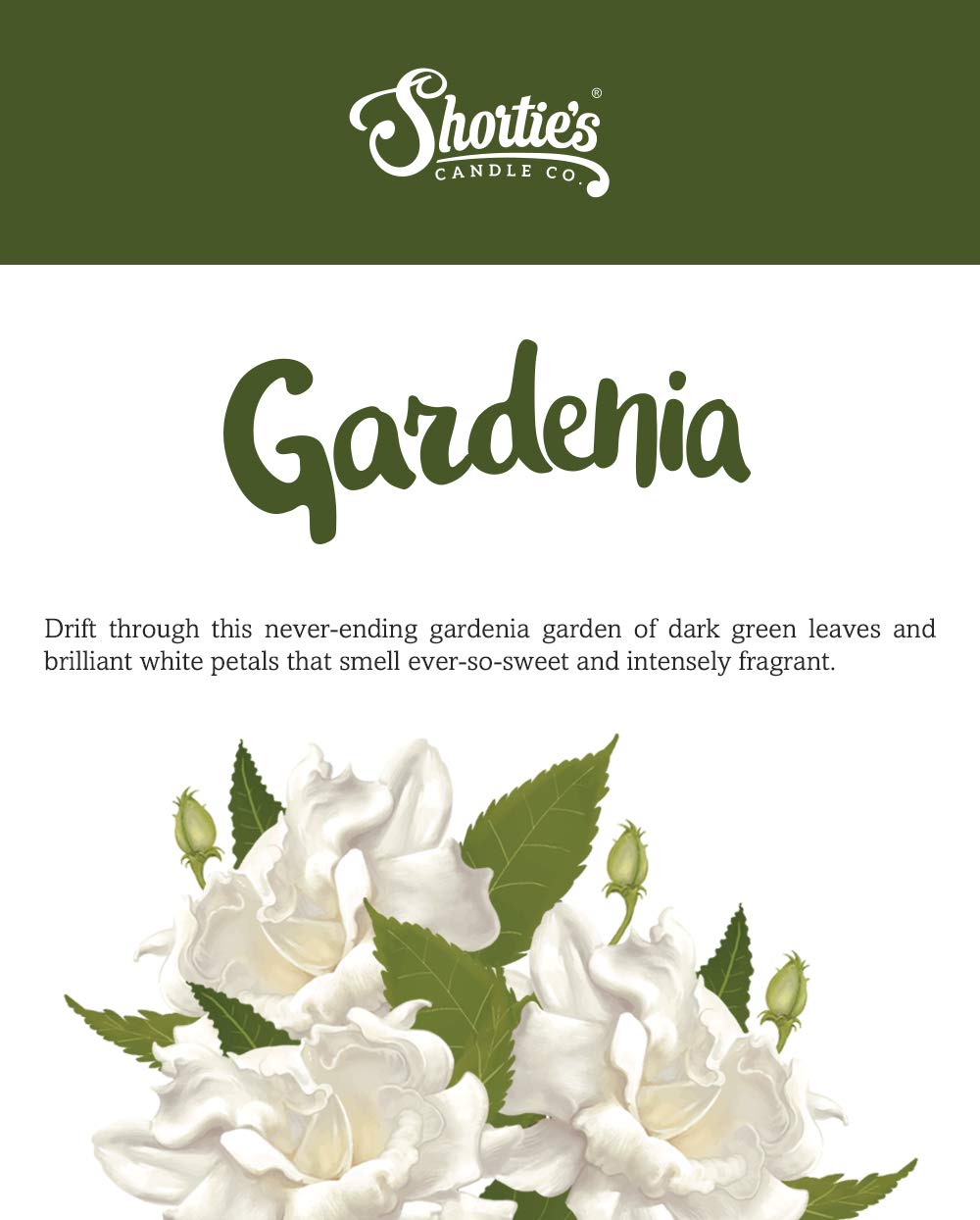 Pure Gardenia Wax Melts Bulk Pack - Formula 117 - 4 Highly Scented 3 Oz. Bars (12 Oz. Total) - Made With Essential & Natural Oils - Flower & Floral Air Freshener Cubes Collection