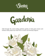 Pure Gardenia Wax Melts Bulk Pack - Formula 117 - 4 Highly Scented 3 Oz. Bars (12 Oz. Total) - Made With Essential & Natural Oils - Flower & Floral Air Freshener Cubes Collection