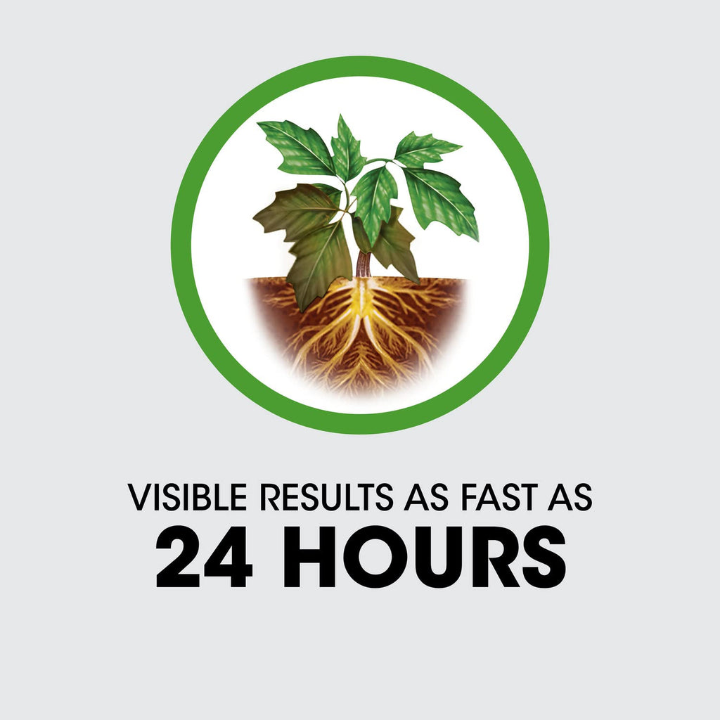 Roundup Concentrate Poison Ivy Killer Plus Tough Brush Killer for Weeds, Grass, Stumps with 24 hours Results, 32 oz.