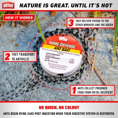 Ant Traps Indoor by ORTHO Home Defense 10pk- Metallic & Adhesive Pet Friendly Ant Killer Indoor & Ant Killer Outdoor - Ant Trap & Ant Bait Traps Indoor Ant Killer - Ant Traps Outdoor,Ant Bait Outdoor