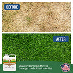 Turf Titan Drought Defender - Liquid Lawn Fertilizer Concentrate - Kelp Fertilizer for All Grass Types and Vegetables - Liquid Fertilizer for Lawns During Summer - 32 oz - No Hose Sprayer
