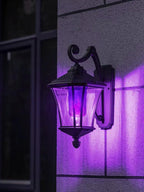 BHCORNER Smaller LED Purple Flame Light Bulbs - Halloween Decorations Light Bulbs,E26/E27 Base Christmas Purple Flickering Light Bulbs Outdoor, led Flame Bulbs for Outdoor Lights (4 Pack)