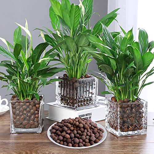 Malifea 10LBS Leca Expanded Clay Pebbles Hydroponics Supplies for Indoor Garden Plants