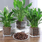 Malifea 10LBS Leca Expanded Clay Pebbles Hydroponics Supplies for Indoor Garden Plants