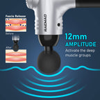 RAEMAO Massage Gun Deep Tissue, Back Massage Gun for Athletes for Pain Relief Attaching 10 PCS Specialized Replacement Heads, Percussion Massager with 10 Speeds & LED Screen, Silver