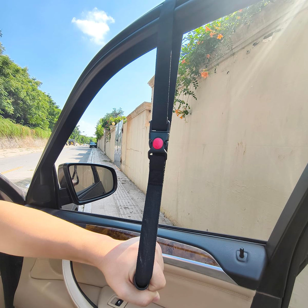 Aeranto car Door Handle and Standing Aid Safety Handle for Elderly