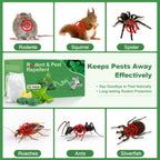 BOZFLY Mouse Rodent Repellent, 32 Pack Peppermint Oil Mice Repellent for Mice, Rats, Squirrels, Spiders and Pests, Indoor/Outdoor Natural Mouse Deterrent, Keeps Rodent Away from Garden & Home (Mint)