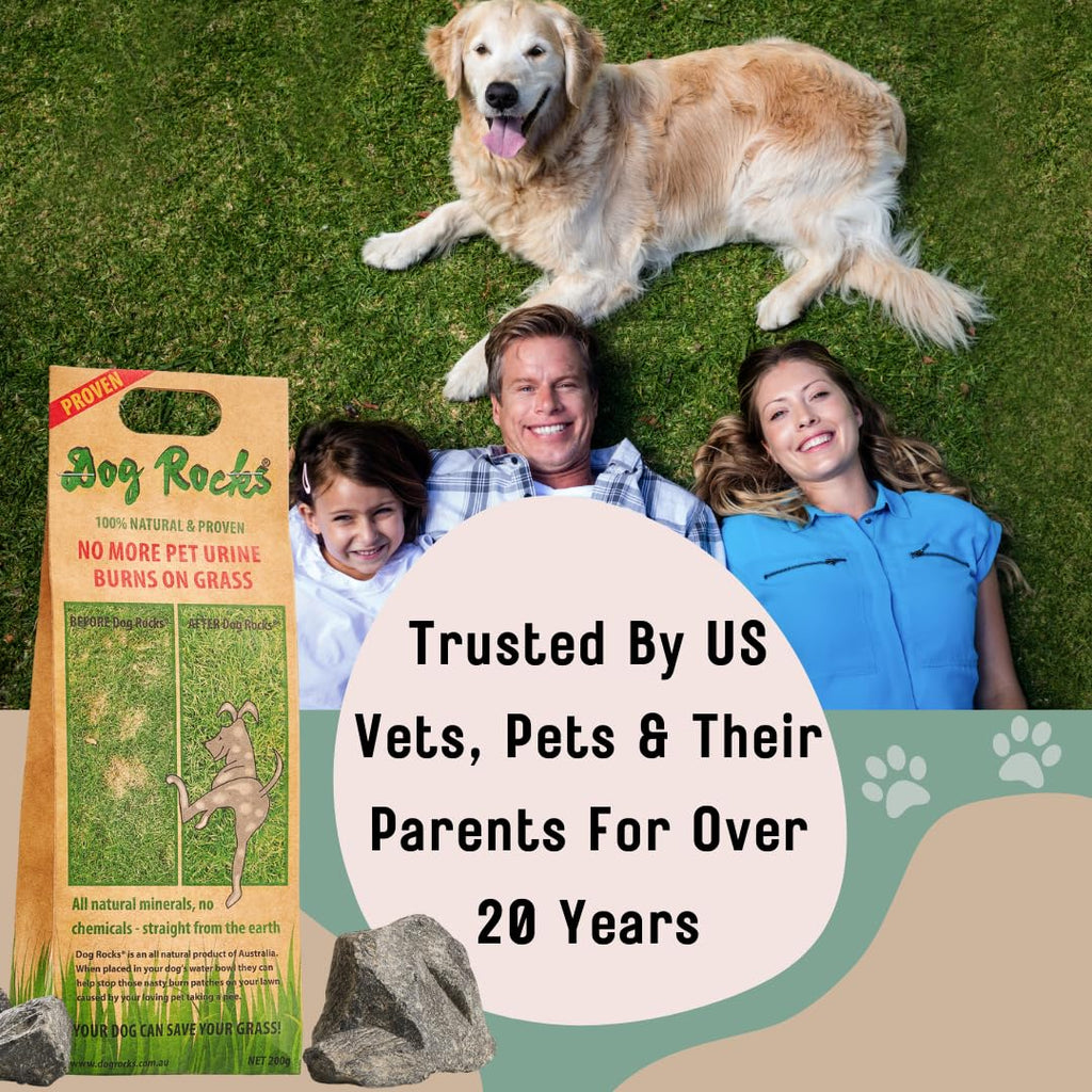 Dog Rocks Dog Pee Grass Neutralizer for Green Grass in 3-5 Weeks | Dog Grass Saver Rock | 100% Natural Urine Neutralizer for Lawn | 200 grams