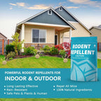Puytgrda Rodent Repellent, Mice Repellents Indoor, Mouse Repellent Balls for House, Rat Repellant, Peppermint to Repel Mice and Rats, Keep Mice Out, Mouse Deterrent, Mouse Away for Camper-8 Packs