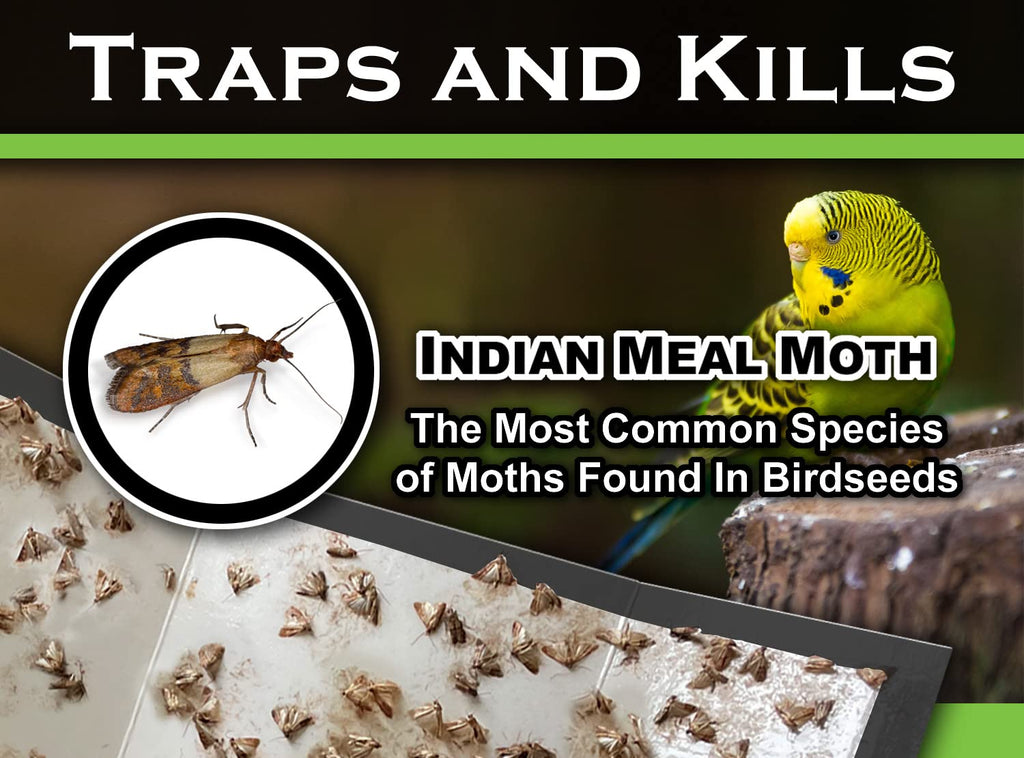 MaxGuard Birdseed Pantry Moth Traps (10 XL Pack) Extra Strength Pheromones | Non-Toxic Extra Large Sticky Glue Trap for Bird Seed Storage Areas | Attract, Trap and Kill Moths