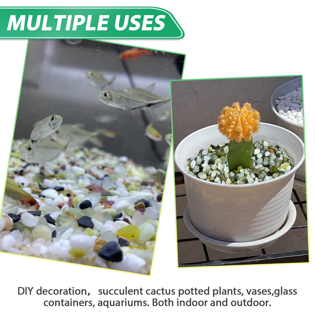 Succulent Rocks for Plants Tiny Pebbles for Planters 4.8LB Pea Gravel Bulk Course Sand Soil Small Decorative Stones for Indoor Bonsai Pots Cactus Top Dressing Aquarium Garden Landscape, Green