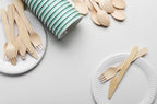 Spa Stix 6" Disposable Paper Plate - Pack of 500ct (Model: SS-Paper Plate 6-500)