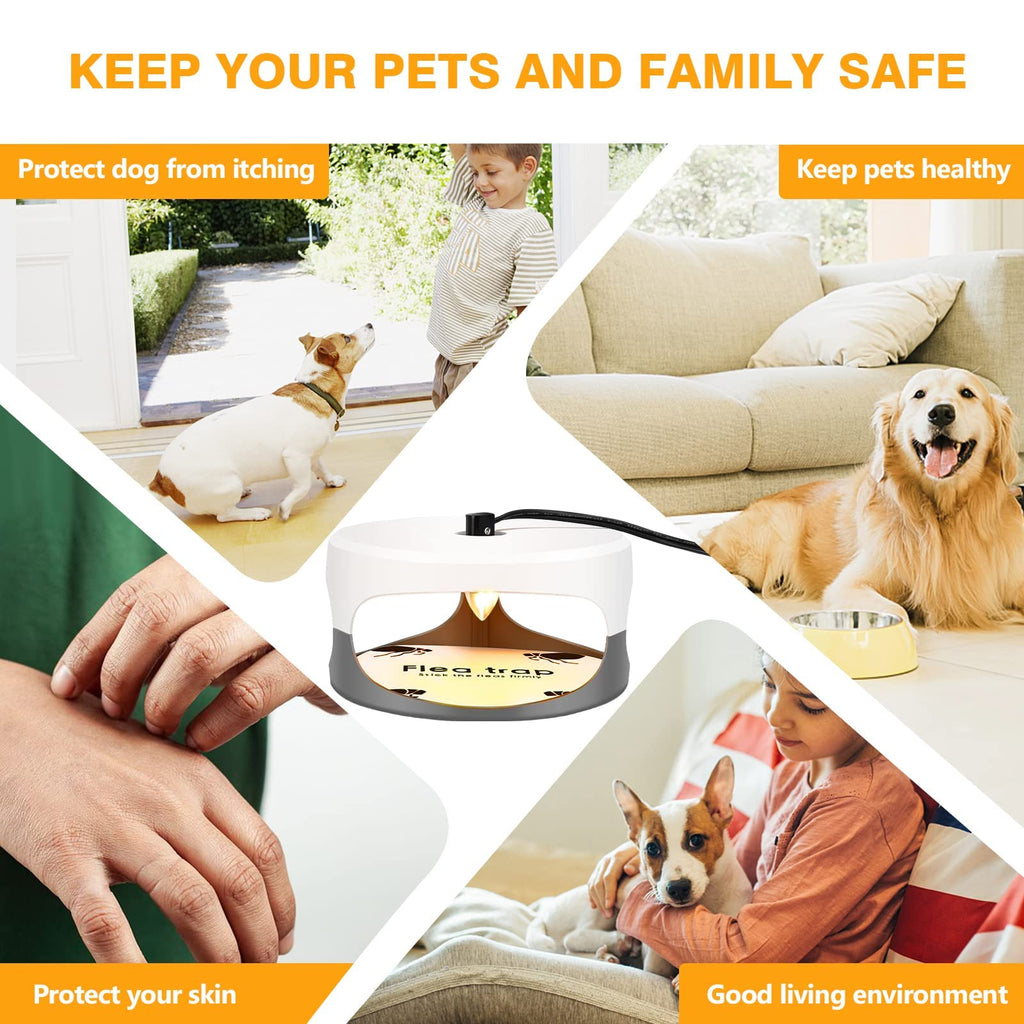 Flea Traps for Inside Your Home 2 Packs, Flea Trap for Indoor, Bed Bug Killer with Sticky Pads & Light Bulb Replacement, Natural Flea Infestation Treatment