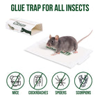 Garsum Sticky Mouse Trap, Peanut Butter Scent Glue Traps, Heavy Duty Pest Board Insect Spider Mice, Extra Strength Trampas para Ratones Indoor for Home, 10/20/40/80 Packs