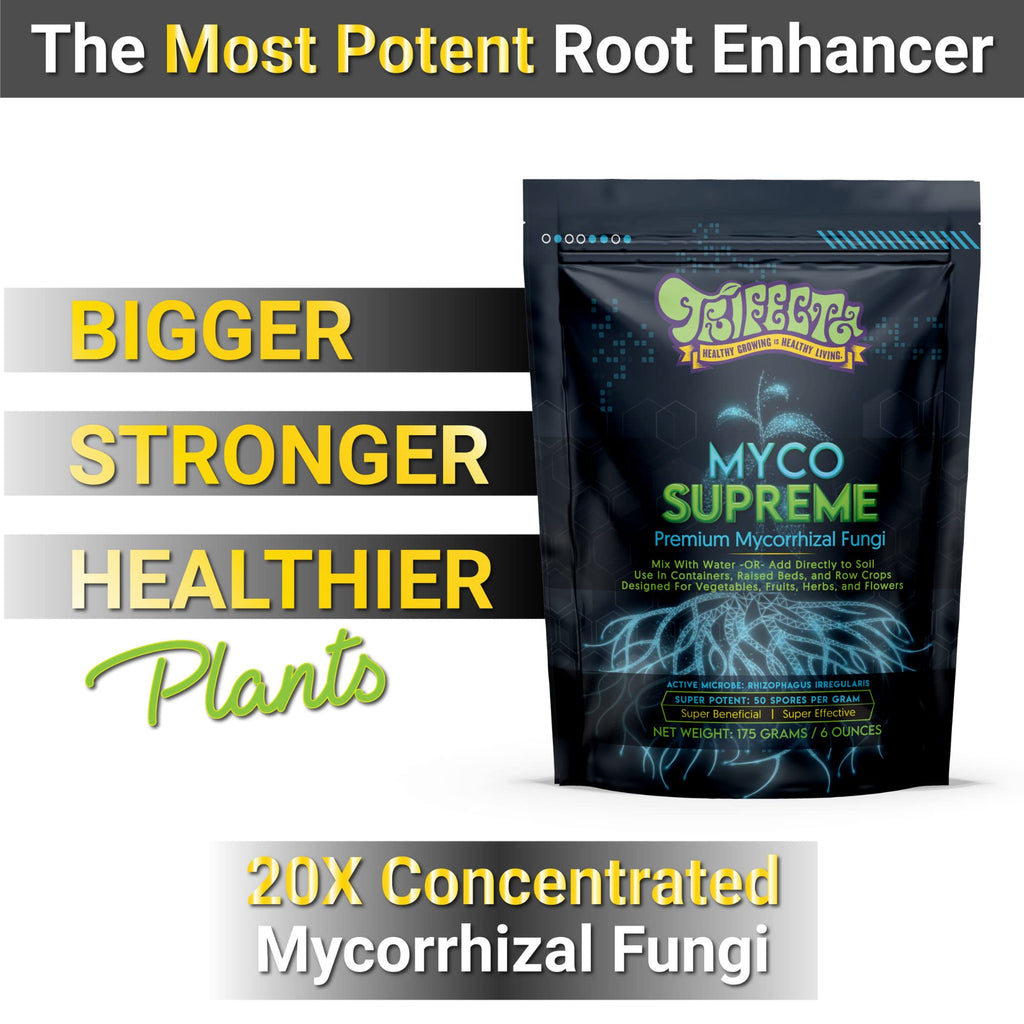 Mycorrhizal Fungi Root Enhancer for Plants - Bigger, Stronger, Healthier Roots, Use In Soil and Hydroponics - Super 20X Concentrated Mycorrhizae Inoculant Strain - Trifecta Myco Supreme (175 Grams / 6 OZ)