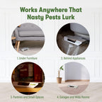 BugMD Indoor Cockroach Killer & Roach Trap - Sticky Insect, Spider, Cricket Control for Home - Glue Traps Pest Defense, 24 Pack Sticky Bug Solution
