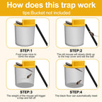 Basysion Mouse Trap Bucket, for Garage, Indoor and Outdoor auto-Turnover Humane or Deadly Mouse Traps. Bucket lid Mouse Traps for 5 Gallon Buckets (3 Pack).