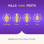 Hot Shot Bedbug and Flea Fogger 4 Count-2 Ounce Cans, with Nylar, Inhibits Flea Reinfestation