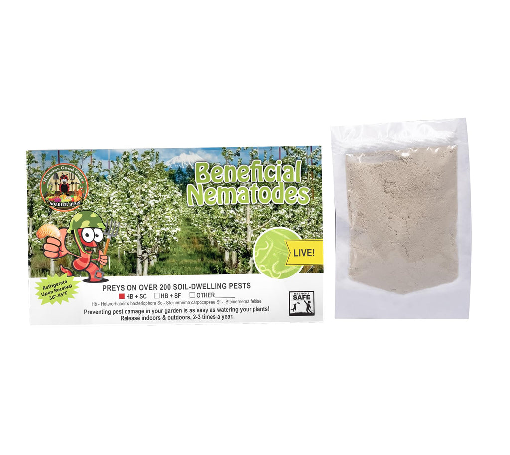 Bug Sales Beneficial Nematodes Hb & Sc - 25 Million