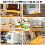 6 Pack 47 * 11 in Large Rat Traps, Heavy Duty Sticky Mouse Traps for House Indoor, Extra Strength Snake Traps for Mice Rat Snake Roach Lizard Spider Scorpion and Other Pests