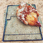 DSQSTMR Bird Trap Pigeon Quail Cage Live Animal Control Spring Starling Chicken Snares for Trapping