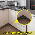 12 Pcs Mice Station with Keys Mouse Bait Stations Waterproof Mice Stations Outdoor Mice Traps Bait Boxes for Mice Indoor Outdoor, Bait Not Included, Suitable for Small Mice (Black)