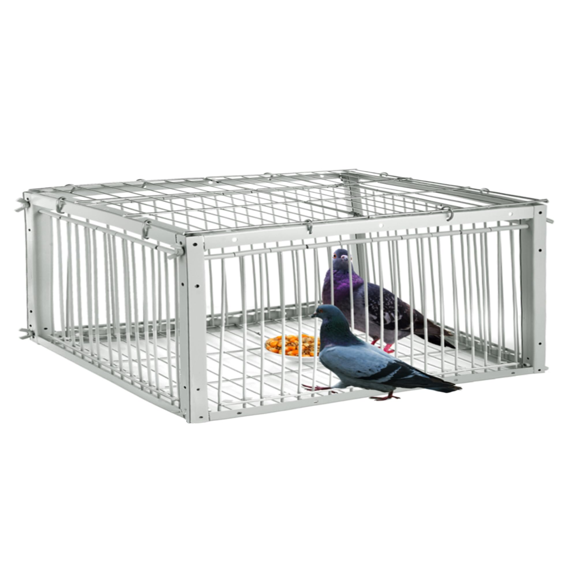 Pigeon Trap with Escape-Proof Design, Pigeon Cage with One-Way Entry, Ideal Pigeon Coop, Chicken and Bird Trap Cage, Portable & Easy Assembly, Unharmful Made of High-Strength Iron and Anti-Rust Paint