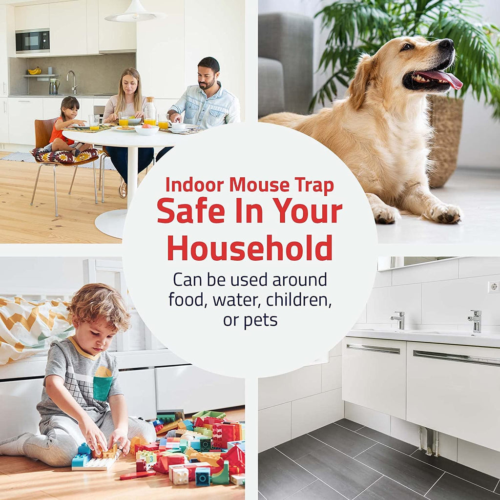 Tin Cat Multi-Catch and Release Humane Live Mouse Trap with Clear Window Lid for Indoor Outdoor Use | Sold by Canadian Supplier Local Pest Control (Black, 12 Pack)