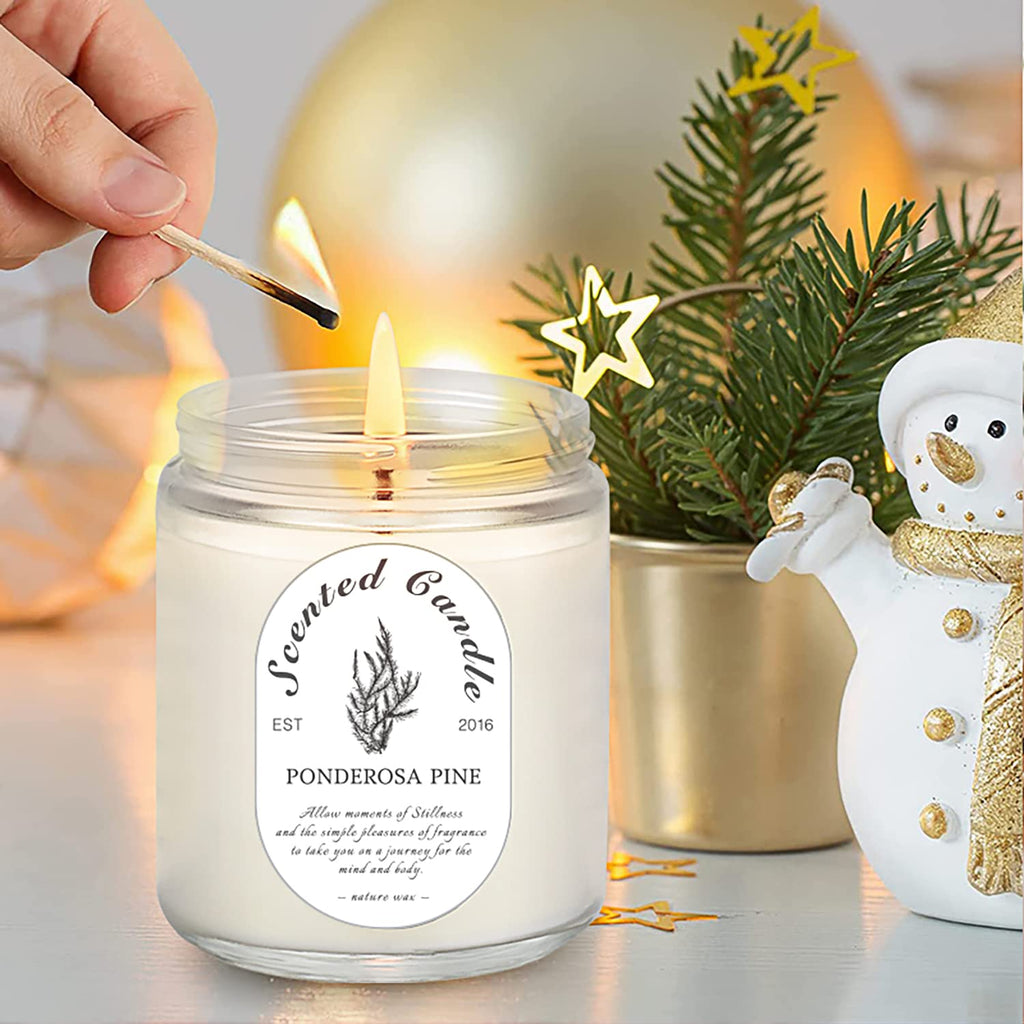 4 Pack Candles for Home Scented, Lavender Candle, Jar Candles, 28 oz 200 Hour Long Lasting Candles, Scented Candles Gift Set for Women, Perfect for Birthday Gifts…