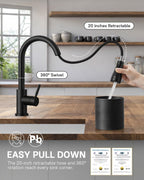 WEWE Kitchen Faucets with Pull Down Sprayer, Stainless Steel Single Handle 1 Hole for Family Kitchen Commercial Camper Laundry Rv Bar, Matte Black