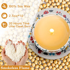 10 Pack Scented Candles Gifts for Women, 250H Aromatherapy Candles with Two Coasters, Candles for Home Scented, Ideal for Birthday, Mother's Day, Thanksgiving