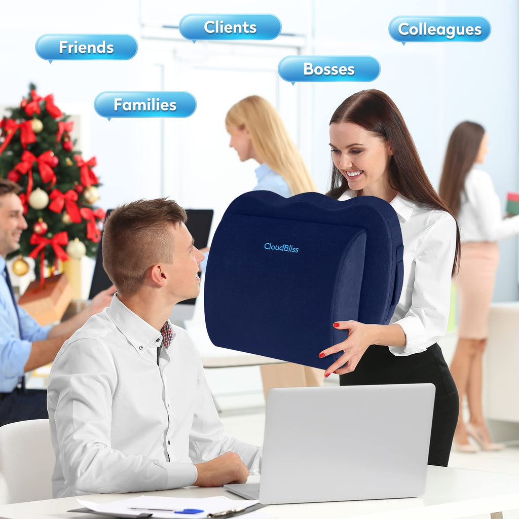 CloudBliss Seat Cushion,Office Chair Cushion,Car Seat Cushion,Lumbar Support Pillow for Office Chair,Back Support Memory Foam Pillow Coccyx Cushion for Tailbone Pain,Sciatica & Back Pain Relief -Blue