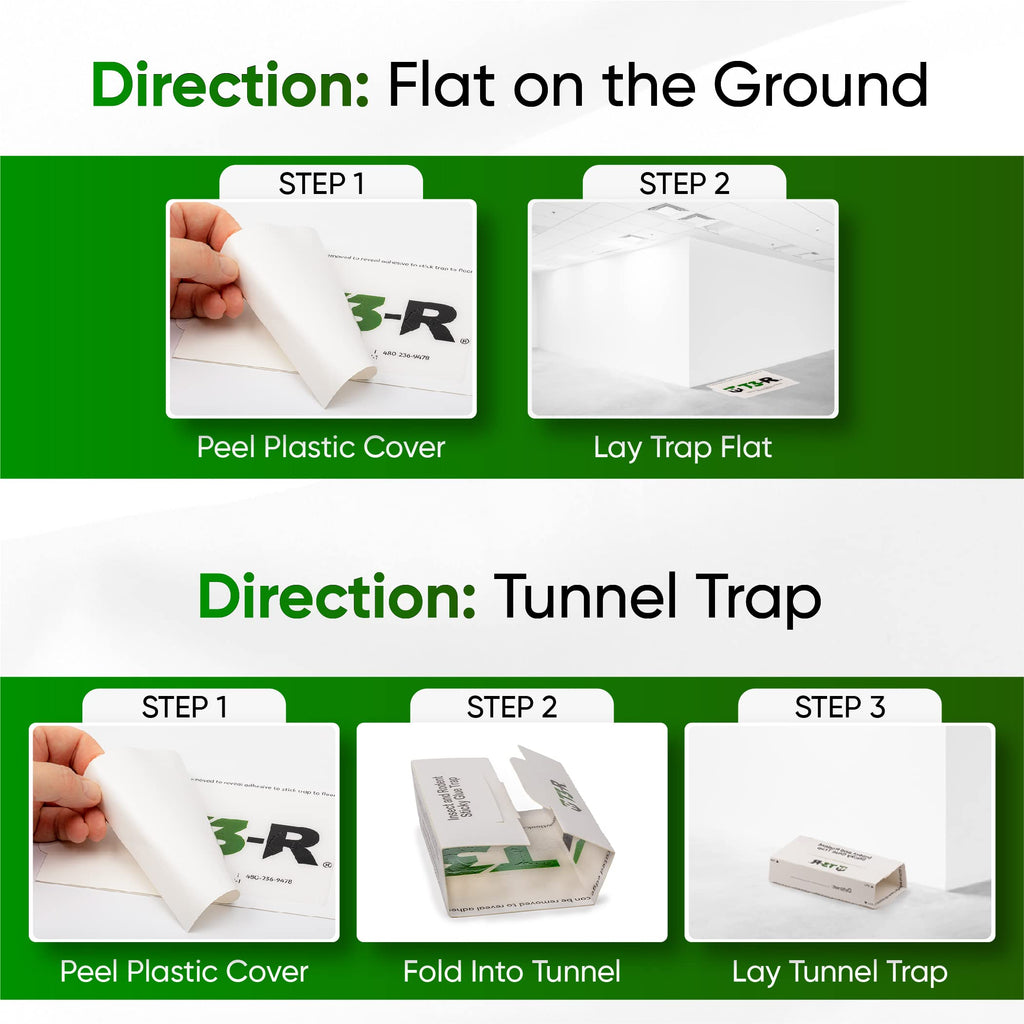 T3-R Sticky Large Rat & Mice Glue Traps | Mouse and Insect Glue Boards | Disposable Non-Toxic Glue Traps for Mice and Rats | Peanut Butter Scent Sticky Traps (36 Pack)