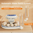 12 Egg Incubators for Hatching Eggs, Temperature and Humidity Control, Automatic Egg Turning, Egg Candler, Automatic Water Refill, for Chicken, Quail & Duck Eggs, Perfect for Home, Farm, Classroom