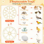 18 Egg Incubators for Hatching Eggs, Automatic Egg Turning and Humidity Control Incubator for Hatch Chicken Duck Quail Pigeon Pheasant Partridge Home Classroom Lab-