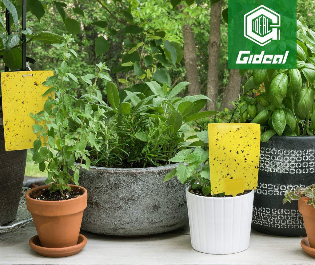 Gideal 30-Pack Dual-Sided Yellow Sticky Traps for Flying Plant Insect Such as Fungus Gnats, Whiteflies, Aphids, Leafminers,Thrips - (6x8 Inches, Included 30pcs Twist Ties)