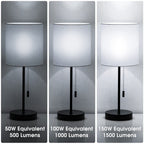 LED Light Bulbs, 𝟑 𝐖𝐚𝐲 𝐋𝐄𝐃 𝐋𝐢𝐠𝐡𝐭 𝐁𝐮𝐥𝐛𝐬 50 100 150W Equivalent, Briignite 3 Way Light Bulbs, Three Way A19 Light Bulbs E26 Medium Base, Daylight White 5000K, 600lm-1200lm-1600lm, 2Pack