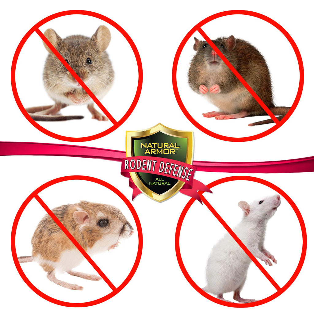 Peppermint Repellent for Mice/Mouse, Rats & Rodents. Natural Spray for Indoor & Outdoor Use. Natural Armor Rodent Shield. 128 OZ Gallon